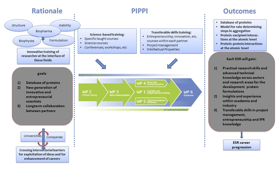 Overview of the PIPPI research and training program.