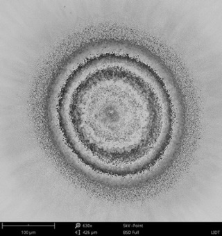 BSD SEM image of laser-induced damage on an optical coating