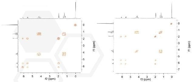 Left: Single scan COSY spectrum of ethylmethacrylate. Right: High resolution COSY-45 ethyl methacrylate 5 wt% in CDCl3