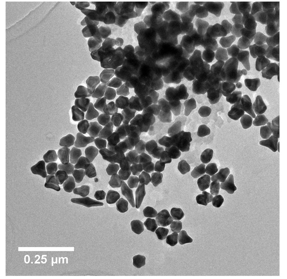 TEM image of Au-2-041-3