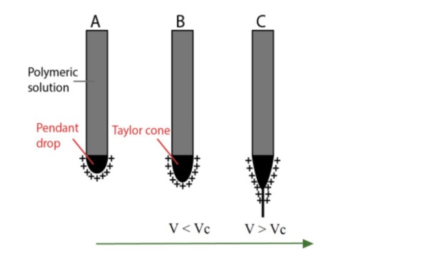 Schematic illustration of the Taylor cone and jet formation: (A) the applied electric field creates surface charges in the polymeric solution; (B) increasing the voltage the drop is elongated; (C) when the voltage is higher than VC, the polymeric jet is formed and travels towards the collector due to the charge repulsion (Casasola, R. (2016)).