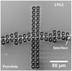 Micropillars across the YPSZ Porcelain interface.