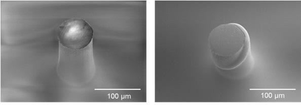 Electron micrographs of COPa fiber specimens before and after microcompression up to 20 percent strain.