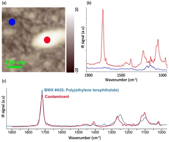 AFM height image (a) and resulting nanoIR spectra (b) from a contaminant on a bare silicon wafer. The resulting match from the FTIR library identifies the contaminant as Poly(ethylene terephthalate).