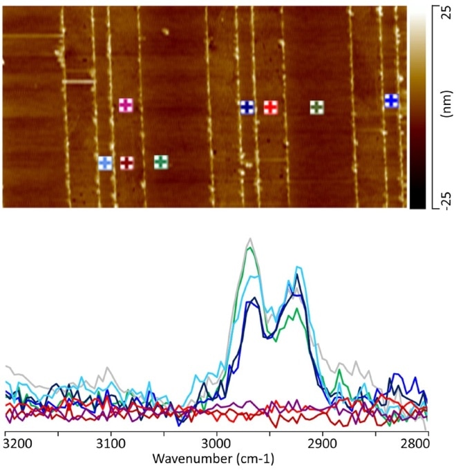 (a) 10 µm X 5 µm AFM topography image illustrating the regions from which the AFM-IR spectra were collected. Note the color of the marker corresponds to the color of the individual spectra. (b) AFM-IR C-H stretch spectra from the patterned a-SiOC:H/Cu interconnect.