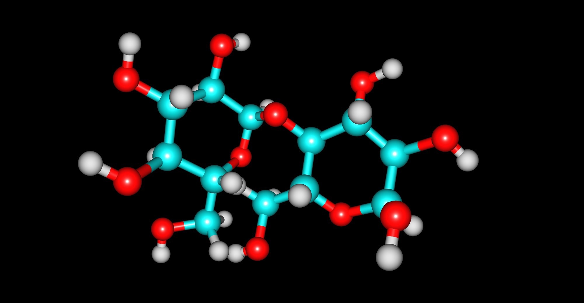 The Applications of Carbohydrate Polymers