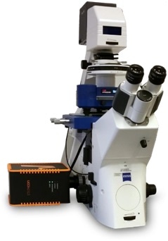 JPK NanoWizard® AFM family integrated with a compact line STEDYCON (Abberior Instruments), on an AxioObserver (Zeiss).