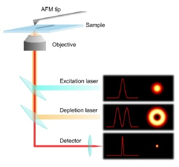 Principle of combined AFM and STED microscopy. The “donut” shape of the encircling depletion (STED) laser confines the spot of effective fluorescence.