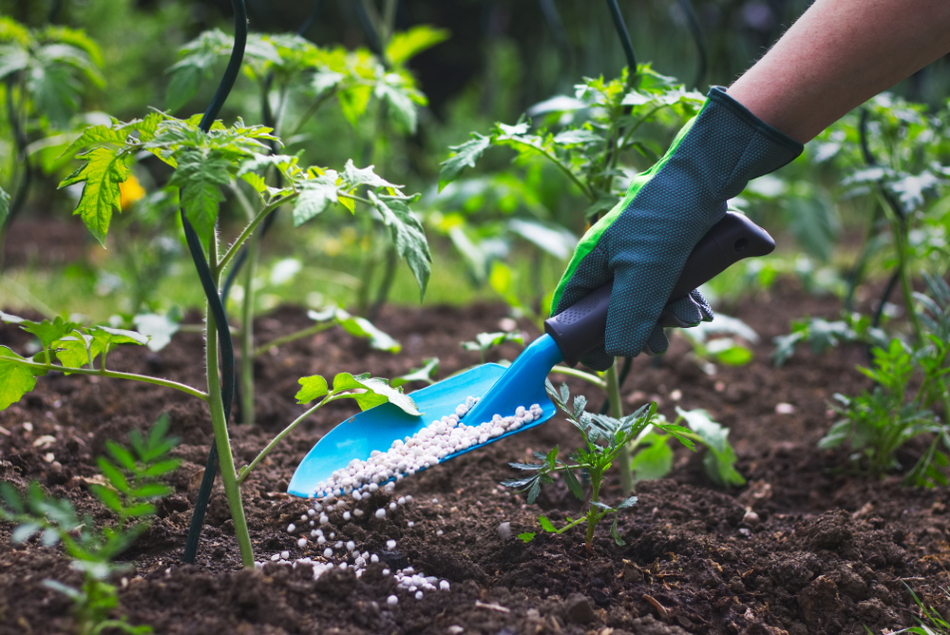 Uses of Nanotechnology in Fertilizers