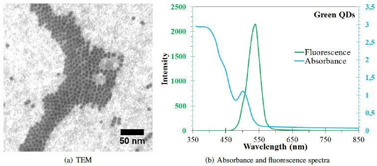 Green QDs characterization.