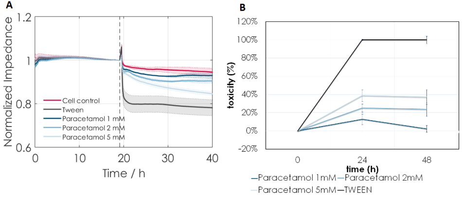 (A) Increasing concentrations of paracetamol induce a decrease in base impedance of MH cells which can be monitored continuously. Tween (2%) induced 100% cell death and was used as a positive control. (B) Toxicity measurement of MH cells using an LDH release assay. Paracetamol showed a dose-dependent effect on toxicity in both assays.