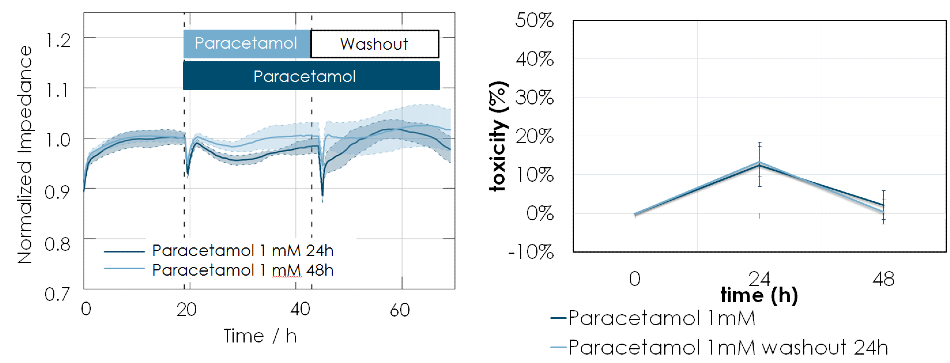 (A) Normalized impedance versus time (in hours) after MH cells were exposed to 1 mM paracetamol for 24 or 48 hours. Repeat exposure to paracetamol causes adaptation and only transient toxicity is observed. (B) Toxicity measurement using LDH release assay also shows repeated exposure to low doses of paracetamol cause transient toxicity of hepatocytes.