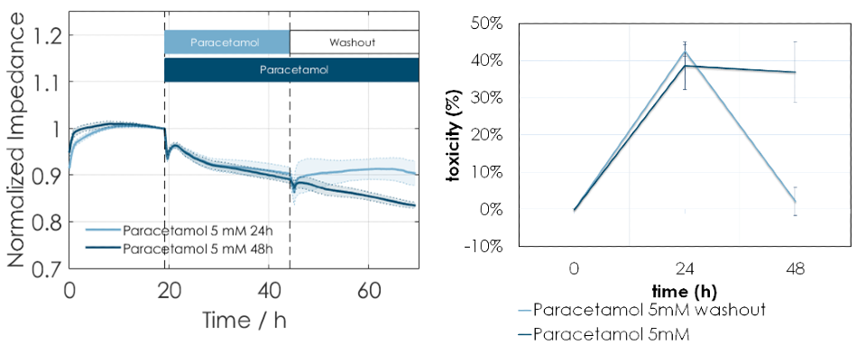(A) Normalized impedance versus time (in hours) after MH cells were exposed to 5 mM paracetamol for 24 or 48 hours. Cells recovered, indicated by the increase in base impedance, when paracetamol was washed out after 24 hours but toxicity continued when 5 mM paracetamol was added again for a further 24 hours. (B) Toxicity measurement using LDH release assay also shows that toxicity is reversed upon washout of paracetamol but continues with a 2nd dose of paracetamol after 24 hours.