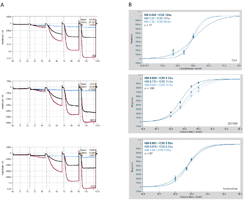 Block of hHCN2 by Cs+, ZD7288 and ivabradine. A. Raw current traces (red traces) from example cells showing activation of Ih by decreasing voltage steps followed by block with single concentrations of Cs+, ZD7288 or ivabradine (black traces in left panel) and full block with 2 mM Cs+ (blue traces). B. The concentration response curves were calculated across the plate. The data collected were normalized to the reference current and fitted with a standard Hill-equation. Average concentration response curves were calculated for the -90 mV, -110 mV and -130 mV voltage steps.