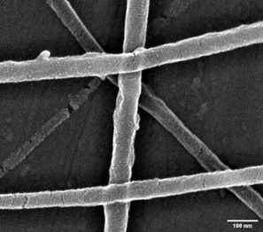 PvDF electrospinning fiber coated with 2 nm of iridium, base vacuum 1E-06 mbar, cracks caused by stress.
