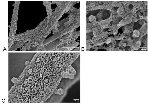 PAN electrospinning fibers modified with nanoparticles, coated with 5 nm of gold with use of base vacuum 2x10-6 mbar , too thick coating obscures tiny crystals that the fibers were modified with b) PAN electrospinning fibers modified with nanoparticles, coated with 2.5 nm of gold with use of base vacuum of 2x10-6 mbar.