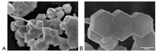 PAN electrospinning fibers modified with nanocrystals, sample coated with 1 nm Au/Pd with sputtering current 1 mA, base vacuum 7x10-7 mbar.