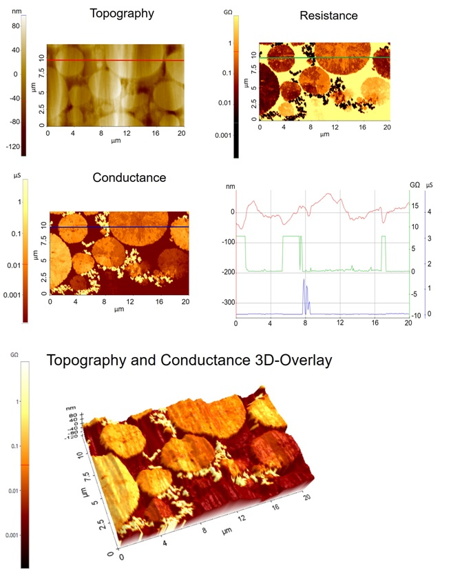 Topography (Fig. 1A),resistance (Fig. 1B) andconductance (Fig. 1C) images acquired froman LIB electrode sample. Line profile (Fig. 1D): Topography line profile (red line, y-axis on left),resistance line profile (green, y-axis on right), and conductance line profile (blue line, y-axis on right).3D-overlay image of topography and conductance (Fig. 1E).