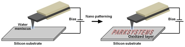 Schematic representation of bias-assisted AFM nanolithography via local surface oxidation. Patterns are created on the surface by oxidation upon bias application between tip and sample.