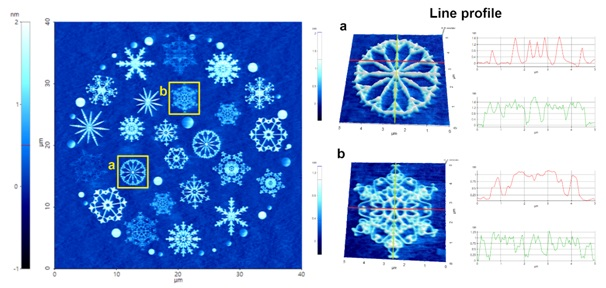 AFM height images after nanolithography and line profile analysis on two of the constituent structures. AFM line profiles in a and b show the ~1 nm height of the oxide layer from the substrate
