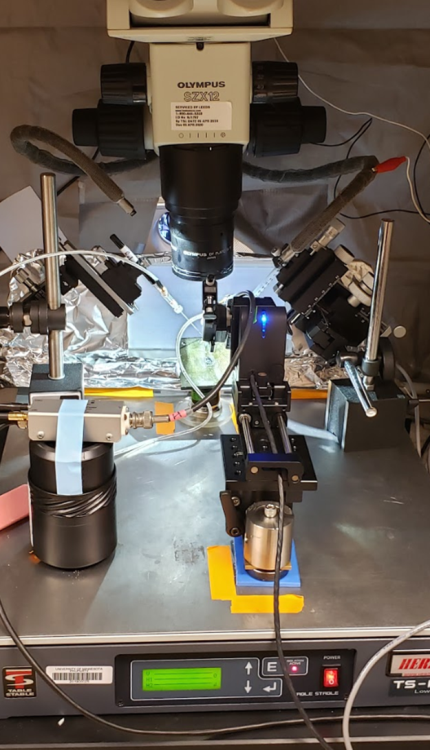 TS-150 Supporting Custom Electrophysiology Instrument.
