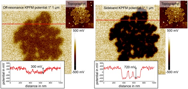 The same F14H20 aggregate was imaged using off-resonance and sideband KPFM. Cross sections (red) show improved lateral and potential resolution of sideband KPFM.