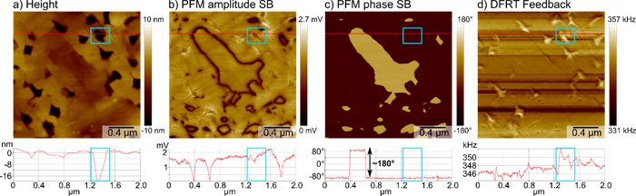 Results of vertical DFRT PFM measurement on a BFO sample. a) Sample topography in the height channel with line profile extracted along the red line. Exemplary hole outlined by blue box in image and profile. b), c) PFM amplitude and phase measured on the second sideband (SB) at f1+f1m with an amplitude of 1 V, resolving the position of the domain walls and the domain orientation, respectively. The line profiles extracted along the red line show amplitude minima at the domain walls and a full 180° phase contrast, as well as minimal topographic crosstalk (blue box). d) Frequency signal of the DFRT feedback imaged the compensated frequency shifts introduced by holes in the topography (blue box)