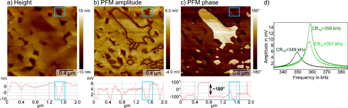 Vertical single frequency resonance-enhanced PFM measurement on the same BFO sample location as the previous DFRT PFM measurement, with the sample height in a), the PFM amplitude in b) and the PFM phase in c). The measurement was conducted with 1 V AC amplitude at 356 kHz for a contact resonance of 357 kHz. The PFM amplitude and PFM phase resolved the position of domain walls as amplitude minima and the domain orientation with a full 180° phase contrast, respectively. Both PFM signals displayed a strong topographic crosstalk (blue boxes). d) Three consecutive frequency spectra with 1 V AC amplitude at three different locations in the measurement area showing a 9 kHz shift in the vertical contact resonance (CR1).