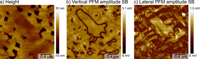Results of a simultaneous vertical and lateral DFRT PFM measurement on a BFO sample. a) Sample topography in the height channel. b), c) Vertical and lateral PFM amplitude, respectively. Both were measured on the second sideband (SB) at f1+f1m and f2+f2m with an amplitude of 1 V. The vertical PFM amplitude resembled previous results by imaging the position of the domain walls with minimal topographic crosstalk. The lateral PFM amplitude resolved characteristic periodic ferroelastic domains.