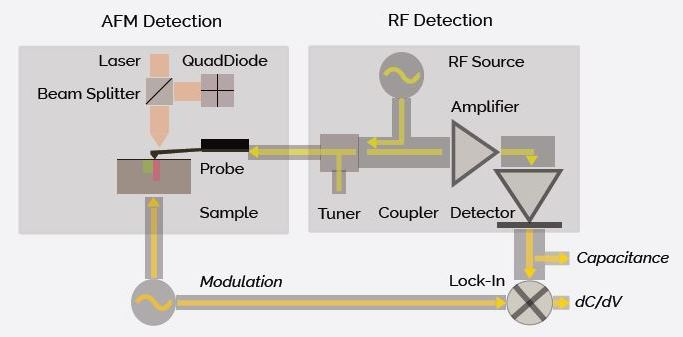 Block diagram of the SCM/AFM design