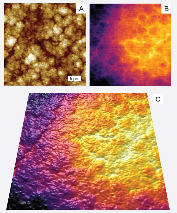 Test electrode of a battery. a) topography, b) capacitance, c) capacitance overlaid onto topography.