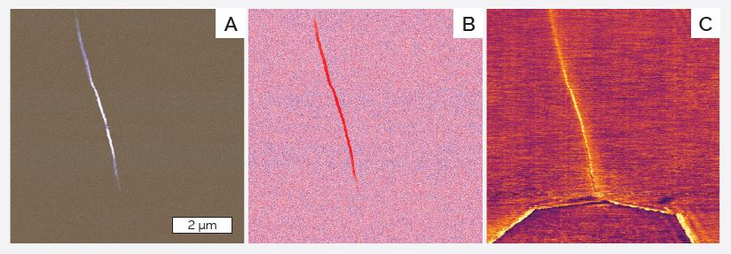 CNT spanning two electrodes. a) dC/dV Amplitude, b) dC/dV phase, and c) capacitance. Overlay of dC/dV amplitude on topography. One electrode can be seen at the bottom of the image but the other is out of the scan area.