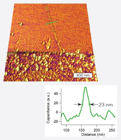 CNT on insulating substrate. Capacitance data overlaid on 3D topography.