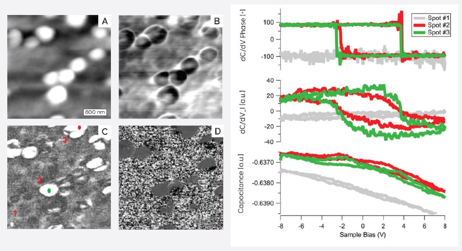 SCM images, a) Height, b) Capacitance, c) dC/dV Amplitude, and d) dC/dV Phase and dC/dV spectra on PZT nanoparticles showing the hysteresis loop of the ferroelectricity.
