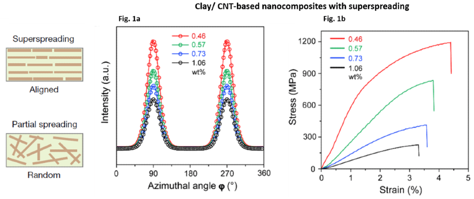 X-ray scattering measurements and mechanical properties of Clay/CNT-based nanocomposite films produced by a new method of shear-flow-induced alignment of nanosheets (superspreading). Fig 1a: 1D plots of X-ray scattering intensity depending on azimuth angle for different concentrations of nanofillers (in wt%, see key)-orientation ordered parameter and nanosheets interlayer distance can be calculated (not shown). Fig 1b: corresponding stress-strain curves for the different nanocomposites. Adapted from Zhao, C., Zhang, P., Zhou, J. et al. Layered nanocomposites by shear-flow-induced alignment of nanosheets (Supplementary Data). Nature 580, 210–215 (2020).