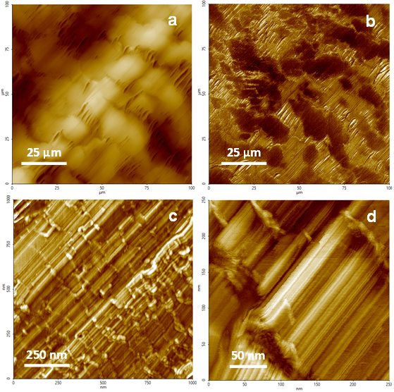 Large-scale height and phase tapping mode images of a Teflon surface.