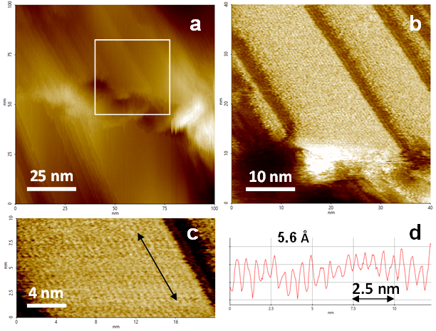 High resolution AFM images of a Teflon surface showing single PTFE molecules.