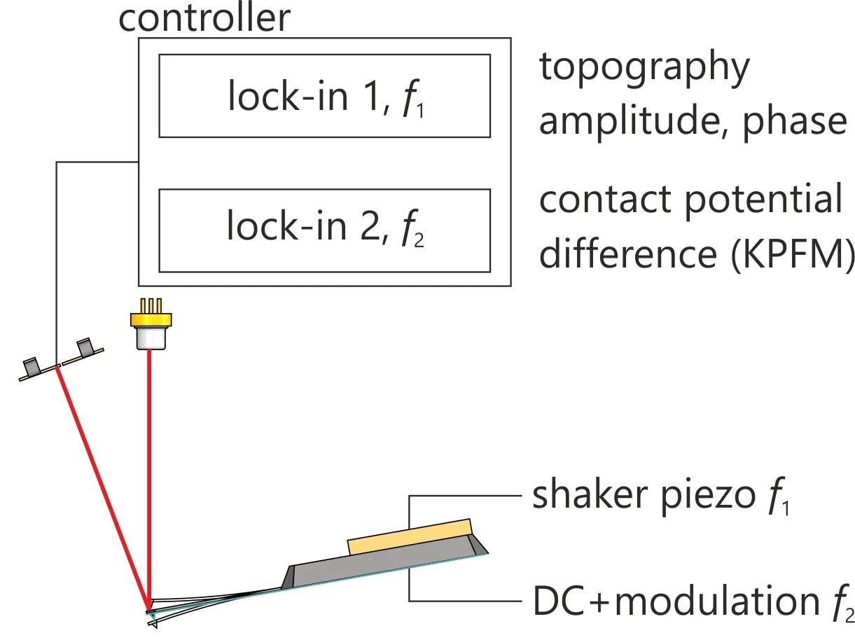 Schematic of KPFM.