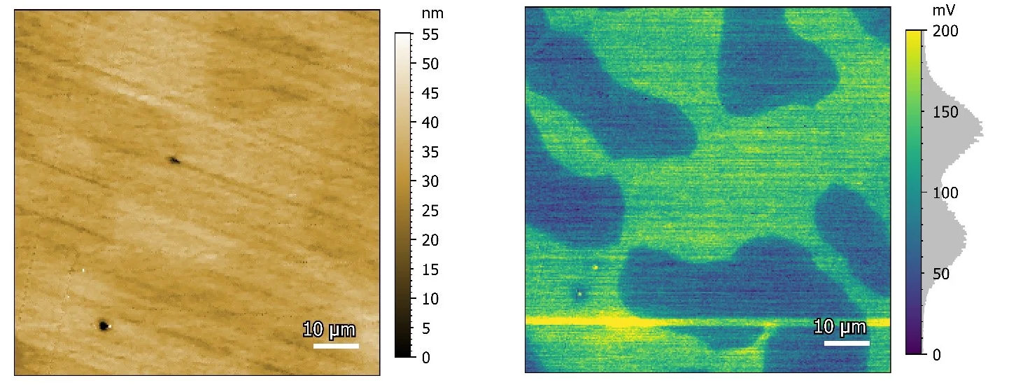 Stainless Steel. The left image is an 80 x 80 µm2 topography image while right image shows the KPFM signal collected simultaneously.