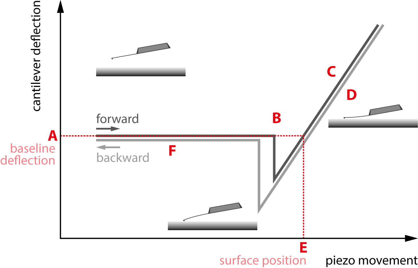 A standard force curve. The different regions of interest are marked A through F.