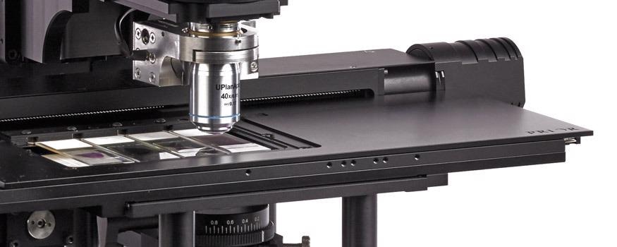 How an XY Stage Can Upgrade a Microscope