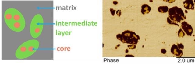 Schematic diagram and AFM phase image showing different regions within high impact polypropylene sample