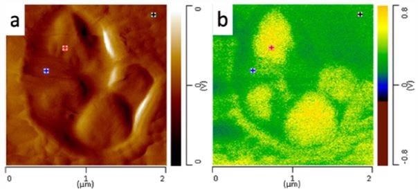 a) AFM height image of nanoscale core domains and (b) AFM-IR image of domains at 1378 cm-1