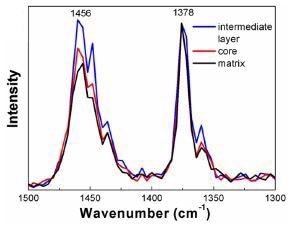 AFM-IR spectra acquired from each region within the HIPP. Data has been normalized to 1378 cm-1
