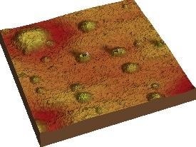 Nanoscale Thermal Analysis for Polyphasic Polymers