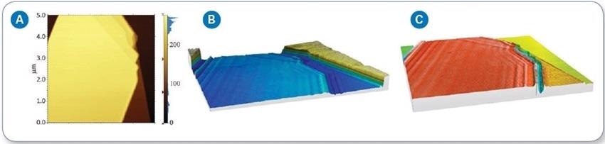 (a) AFM height image shows homogeneous hBN surface with different layers on a Si substrate; (b) s-SNOM amplitude shows strong interference fringes due to propagating SPhP along the surface on hBN; (c) s-SNOM phase shows a different phase signal with layer thickness.