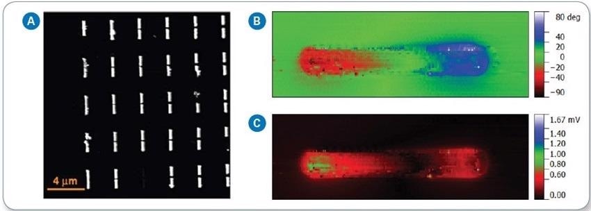 a) AFM height image of assembled antenna array, (b) s-SNOM phase, and (c) s-SNOM amplitude images of antenna dipole.