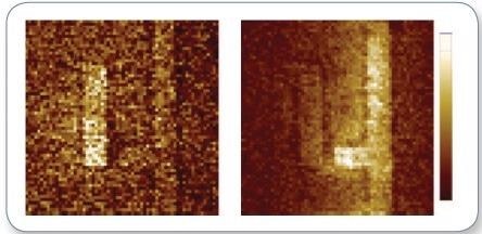 Experimentally measured AFM cantilever deflection amplitudes. The cantilever deflection is directly proportional to temperature increase in the sample during the laser pulse; this confirms that the magnitude and spatial distribution the Ohmic heating of a chiral 2D metasurface markedly depends on the handedness of light1