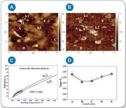 (a) LCR-AFM height image; (b) AFM mechanical image (using LCR) of the PE/BN composites, showing boron nitride clusters in the areas A, D, and E; (c) Local thermal analysis data of the assigned positions were obtained by nano-TA, comparing the melting temperatures of PE and BN; (d) DSC from the PE/BN composites (heating rate of 2 °C min-1