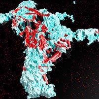 Nanoparticle Analysis - Correlating EDX, AFM and SEM Data